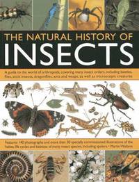 bokomslag Natural History of Insects