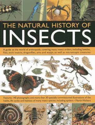 Natural History of Insects 1