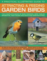 bokomslag A Practical Illustrated Guide to Attracting & Feeding Garden Birds