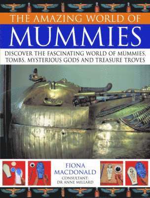 bokomslag Amazing World of Mummies