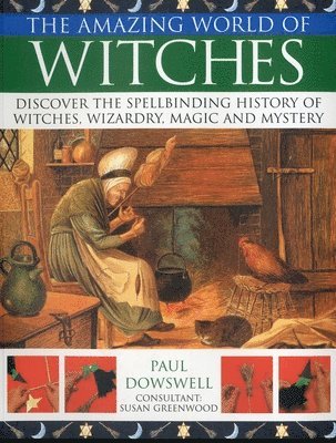 bokomslag Amazing World of Witches