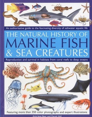 Marine Fish 1
