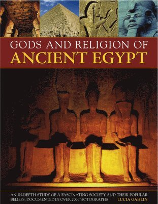 bokomslag Gods and Religion of Ancient Egypt