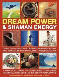 bokomslag Dream Power & Shaman Energy
