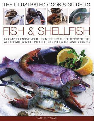 Kate Whiteman - Illustrated Cook's Guide to Fish and Shellfish, Häftad