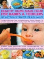 Sara Lewis - Healthy Home Made Food for Babies and Toddlers, Häftad