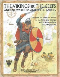 bokomslag The Vikings & the Celts