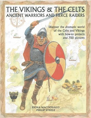 bokomslag Vikings and the Celts