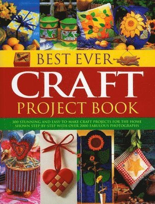Lucy Painter - Best Ever Craft Project Book, Häftad