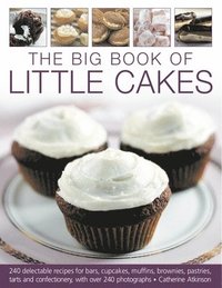 bokomslag Big Book of Little Cakes