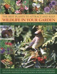 bokomslag Best Plants to Attract and Keep Wildlife in the Garden