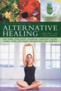 bokomslag Handbook Of Alternative Healing