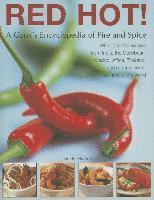 bokomslag Red Hot!: a Cook's Encyclopedia of Fire and Spice