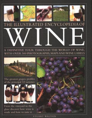 The New Illustrated Guide to Wine 1