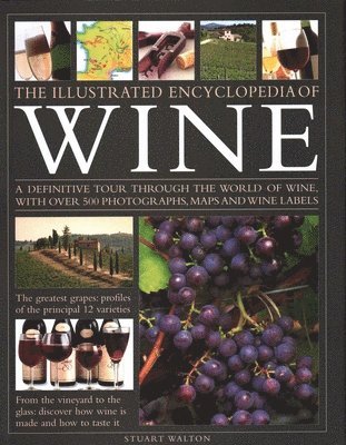 Stuart Walton - New Illustrated Guide to Wine, Inbunden
