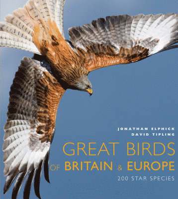 Jonathan Elphick - Great Birds of Europe, Inbunden