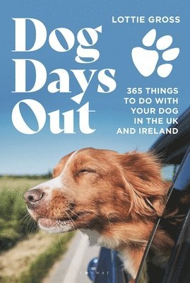 Dog Days Out 1