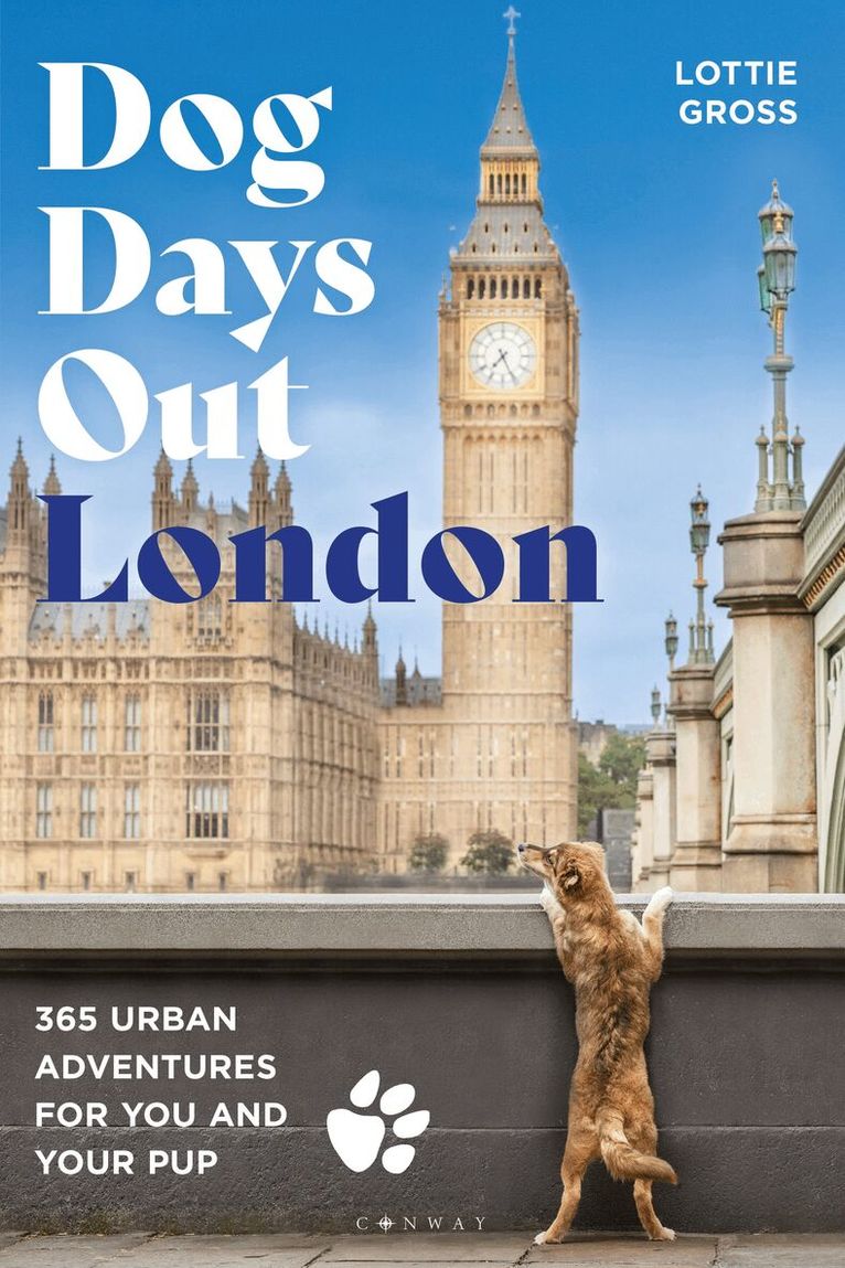 Lottie Gross - Dog Days Out: London, Häftad