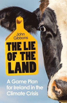 bokomslag Lie of the Land