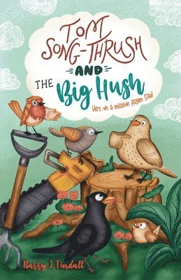 bokomslag Tom Song-Thrush and the Big Hush
