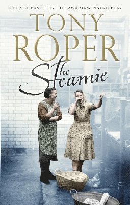 bokomslag Steamie