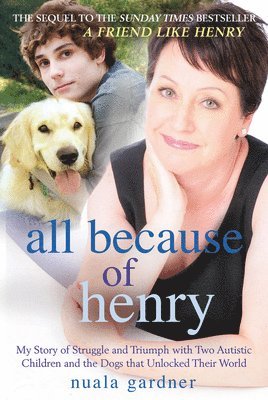 bokomslag All Because of Henry