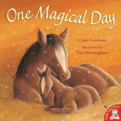 Claire Freedman, Tina MacNaughton - One Magical Day, Häftad
