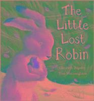 bokomslag The Little Lost Robin