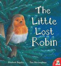 bokomslag The Little Lost Robin