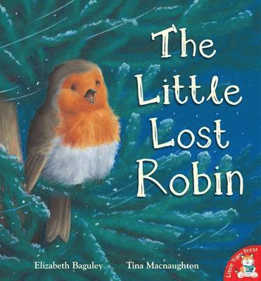 bokomslag The Little Lost Robin