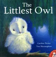 Caroline Pitcher - Littlest Owl, Häftad