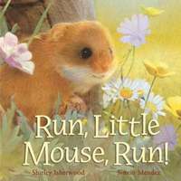 bokomslag Run, Little Mouse, Run!