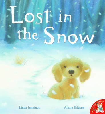 Lost in the Snow 1