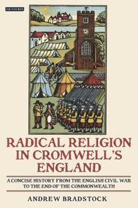 bokomslag Radical Religion in Cromwell's England A Concise History from the English Civil War to the End of the Commonwealth