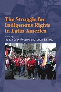 bokomslag Struggle for Indigenous Rights in Latin America