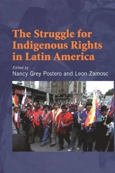 bokomslag Struggle for Indigenous Rights in Latin America