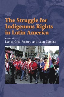 Struggle for Indigenous Rights in Latin America 1