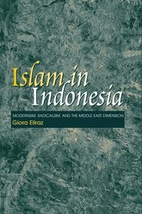 bokomslag Islam in Indonesia