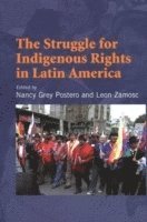 Struggle for Indigenous Rights in Latin America 1