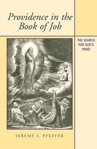 bokomslag Providence in the Book of Job