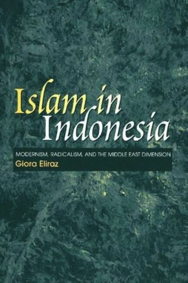 bokomslag Islam in Indonesia