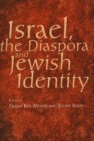 bokomslag Israel, the Diaspora and Jewish Identity