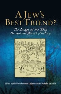 bokomslag A Jew's Best Friend?: The Image of the Dog Throughout Jewish History
