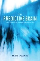 bokomslag Predictive Brain