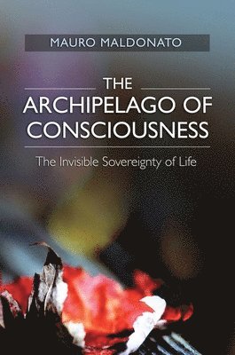 bokomslag Archipelago of Consciousness