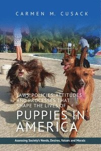 bokomslag Laws, Policies, Attitudes and Processes That Shape the Lives of Puppies in America