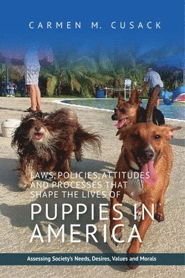 bokomslag Laws, Policies, Attitudes and Processes That Shape the Lives of Puppies in America
