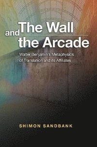 bokomslag The Wall and the Arcade