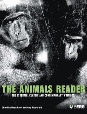 bokomslag The Animals Reader