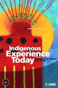 bokomslag Indigenous Experience Today